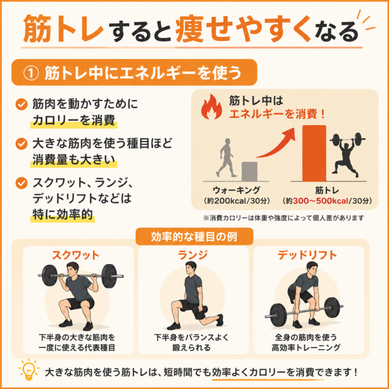 筋トレすると痩せやすくなる