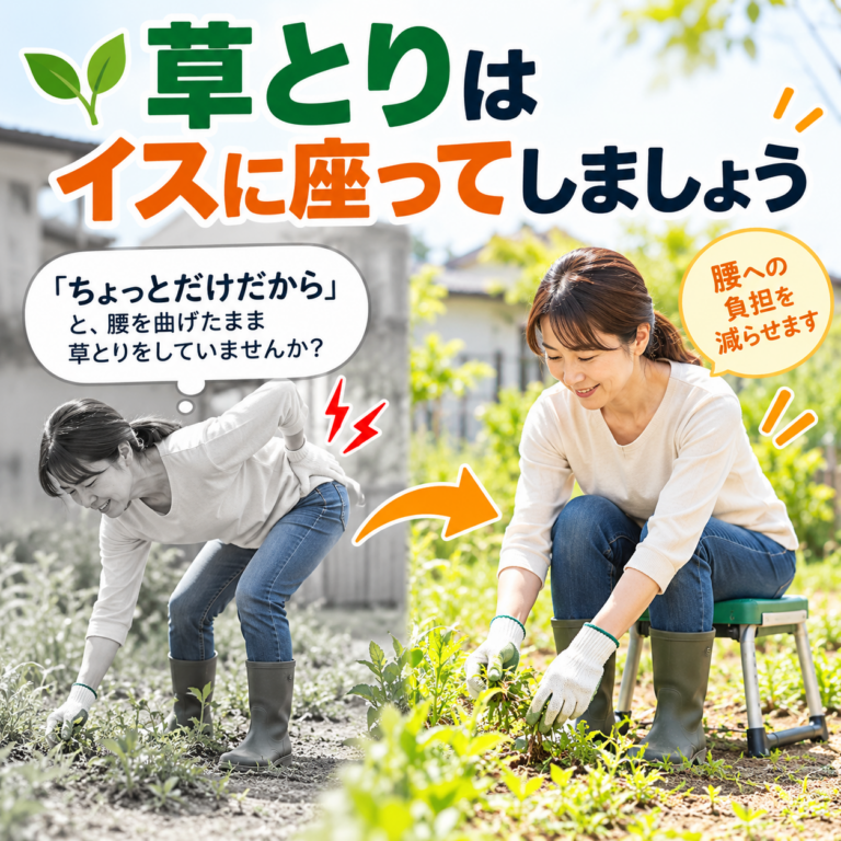 草取りで腰痛にならないために｜イスに座ってできる腰痛対策